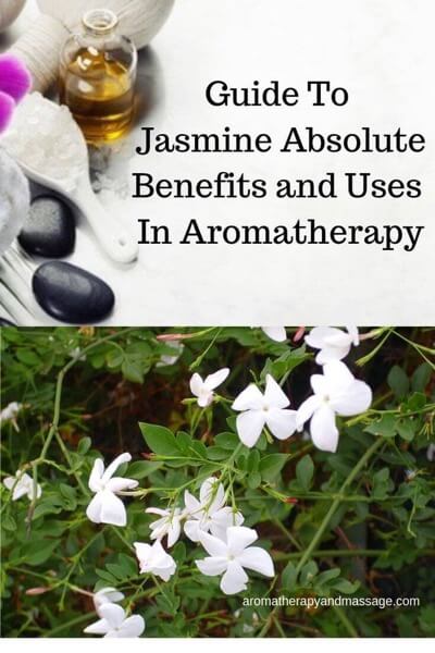 Jasmine Essential Oil (Absolute) Benefits and Uses In Aromatherapy