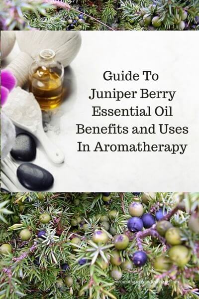 Juniper Essential Oil Benefits And Uses In Aromatherapy