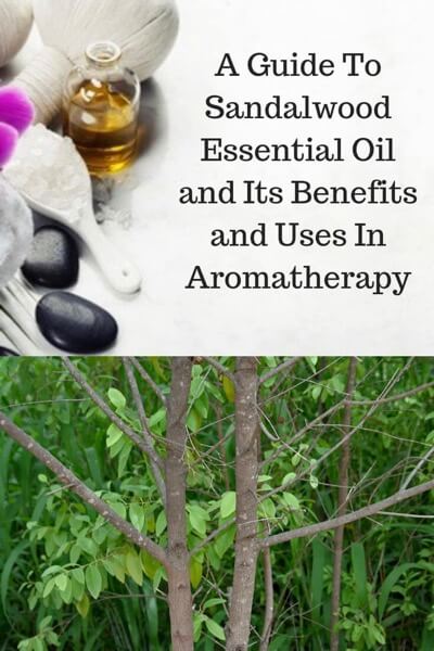 Sandalwood Essential Oil - Benefits and Usage | Bulgarian Oils