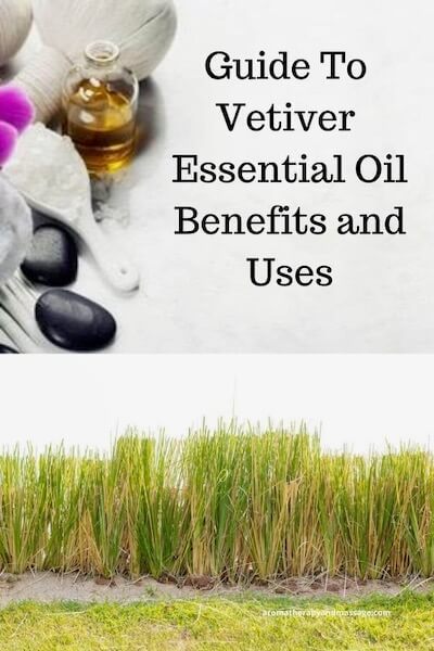 Aromatherapy supplies with the words Guide To Vetiver Essential Oil Benefits and Uses and photo of vetiver grass.