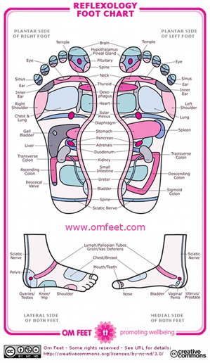 Reflexology Information and a Reflexology Chart For Foot Reflex Zones